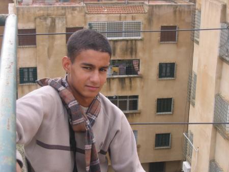 halim